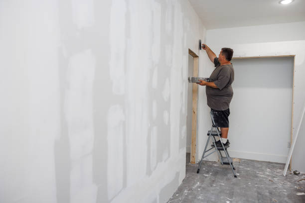 Best Real Estate Mold Inspection  in Sebastian, TX