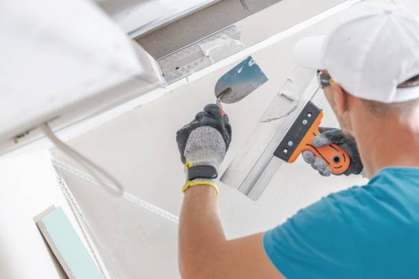 Reliable Sebastian, TX Mold Removal Solutions